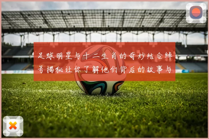 足球明星与十二生肖的奇妙结合绰号揭秘让你了解他们背后的故事与个性