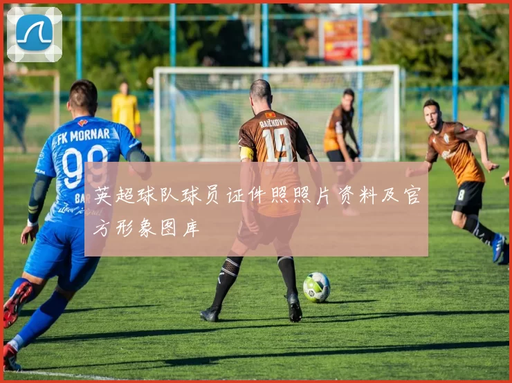 英超球队球员证件照照片资料及官方形象图库