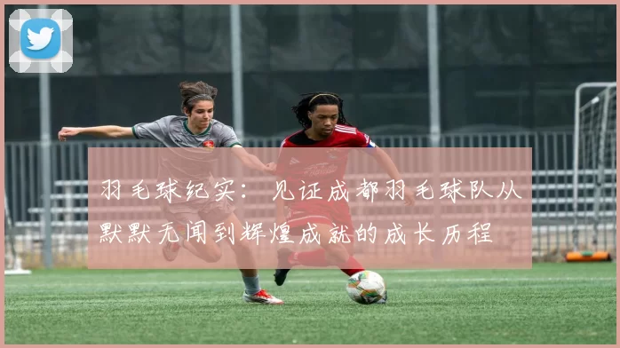 羽毛球纪实：见证成都羽毛球队从默默无闻到辉煌成就的成长历程