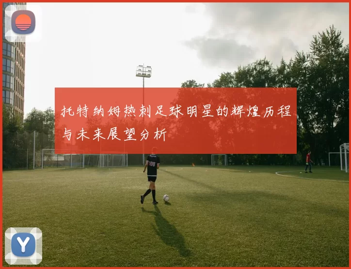 托特纳姆热刺足球明星的辉煌历程与未来展望分析