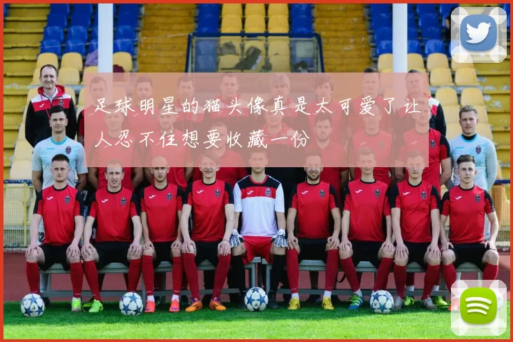 足球明星的猫头像真是太可爱了让人忍不住想要收藏一份