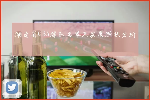 湖南省CBA球队名单及发展现状分析