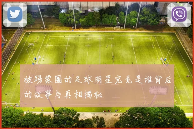 被踢蒙圈的足球明星究竟是谁背后的故事与真相揭秘