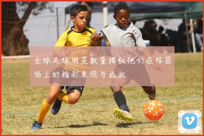 全球足球明星数量揭秘他们在绿茵场上的精彩表现与成就