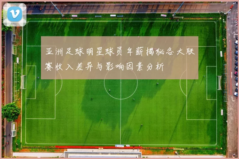 亚洲足球明星球员年薪揭秘各大联赛收入差异与影响因素分析