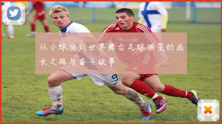 从小球场到世界舞台足球明星的成长之路与奋斗故事