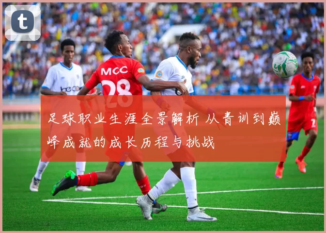 足球职业生涯全景解析 从青训到巅峰成就的成长历程与挑战