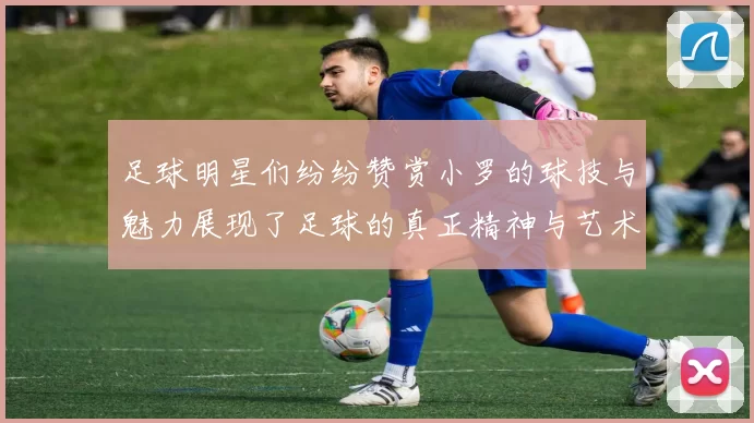 足球明星们纷纷赞赏小罗的球技与魅力展现了足球的真正精神与艺术之美