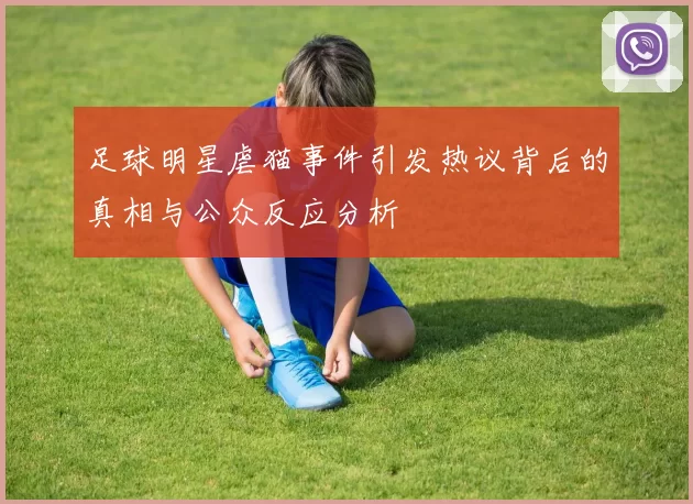 足球明星虐猫事件引发热议背后的真相与公众反应分析