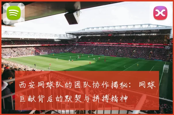 西安网球队的团队协作揭秘：网球巨献背后的默契与拼搏精神