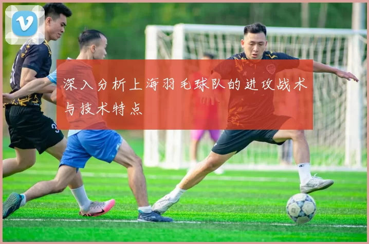 深入分析上海羽毛球队的进攻战术与技术特点
