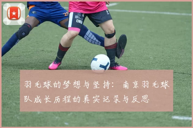 羽毛球的梦想与坚持：南京羽毛球队成长历程的真实记录与反思