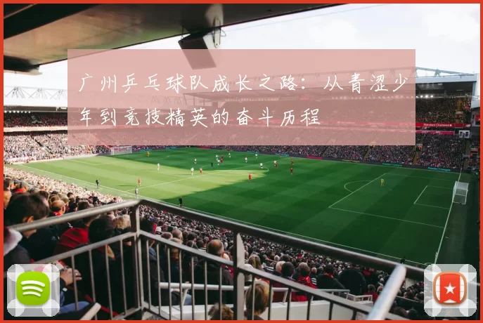广州乒乓球队成长之路：从青涩少年到竞技精英的奋斗历程