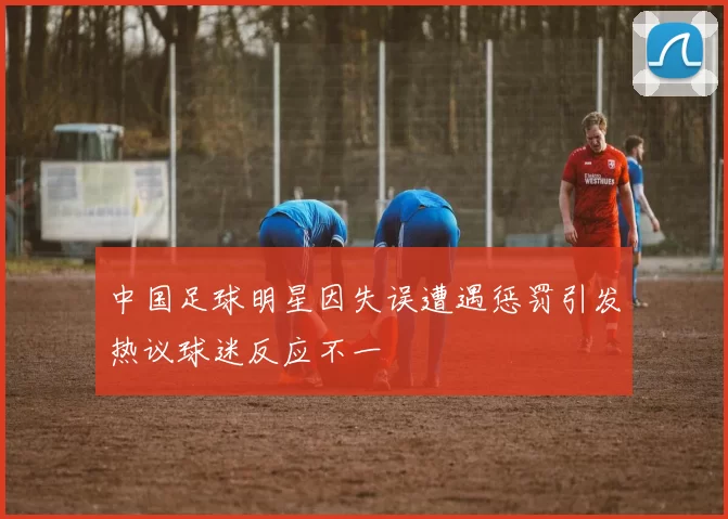 中国足球明星因失误遭遇惩罚引发热议球迷反应不一