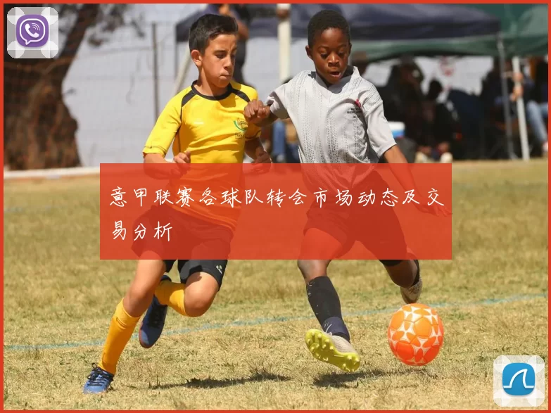 意甲联赛各球队转会市场动态及交易分析