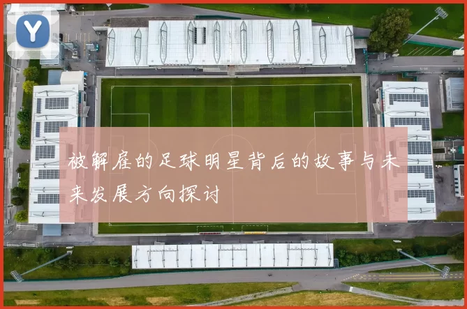 被解雇的足球明星背后的故事与未来发展方向探讨