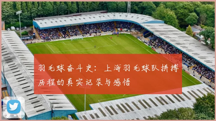 羽毛球奋斗史：上海羽毛球队拼搏历程的真实记录与感悟