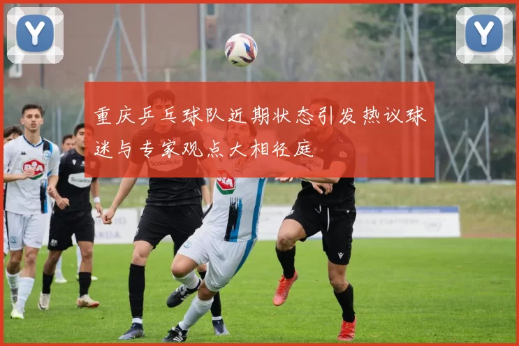 重庆乒乓球队近期状态引发热议球迷与专家观点大相径庭