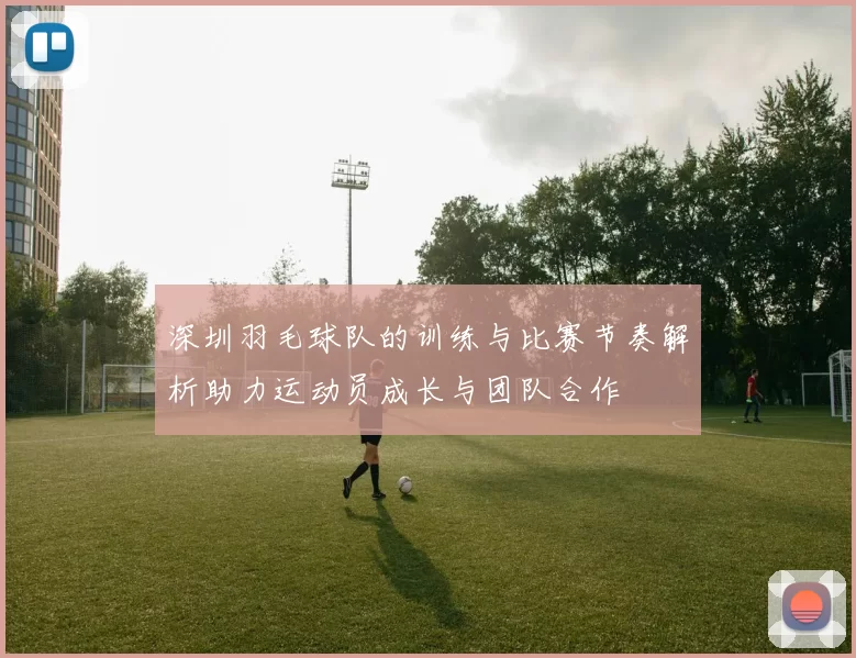 深圳羽毛球队的训练与比赛节奏解析助力运动员成长与团队合作