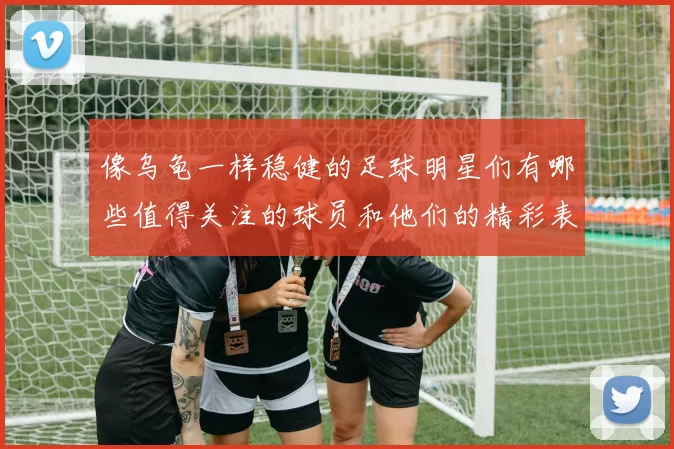 像乌龟一样稳健的足球明星们有哪些值得关注的球员和他们的精彩表现