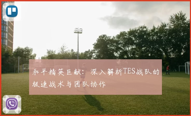 和平精英巨献：深入解析TES战队的极速战术与团队协作