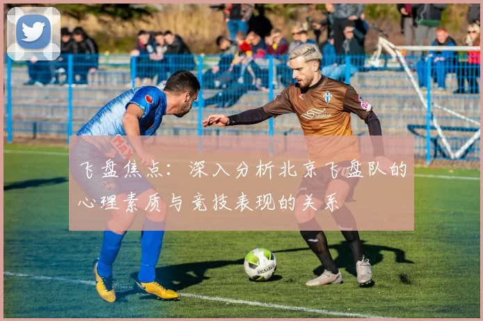 飞盘焦点：深入分析北京飞盘队的心理素质与竞技表现的关系