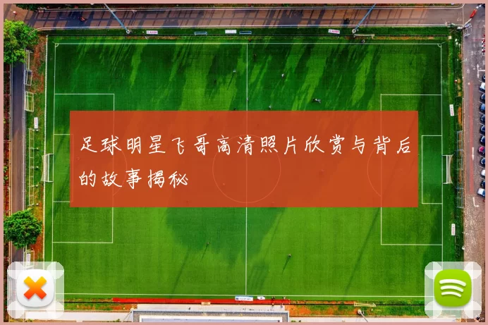 足球明星飞哥高清照片欣赏与背后的故事揭秘