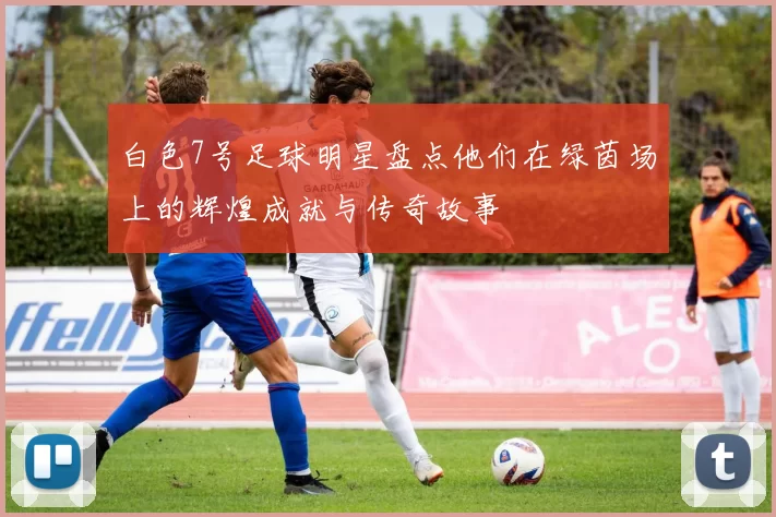 白色7号足球明星盘点他们在绿茵场上的辉煌成就与传奇故事