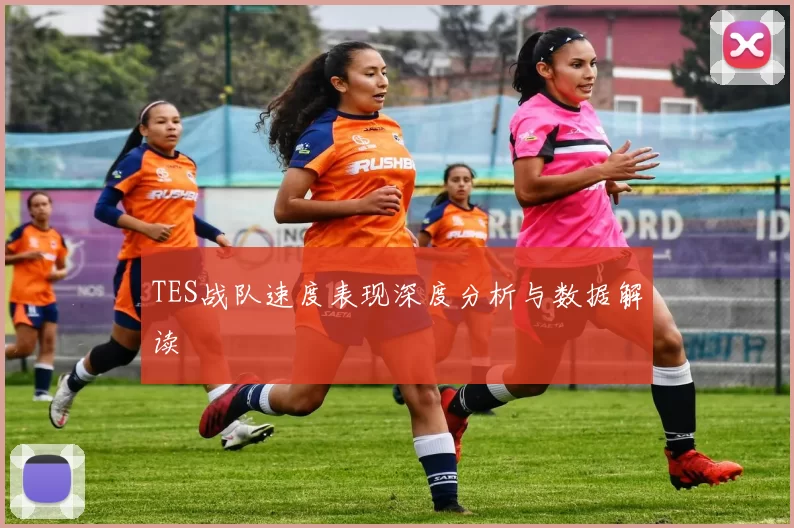 TES战队速度表现深度分析与数据解读