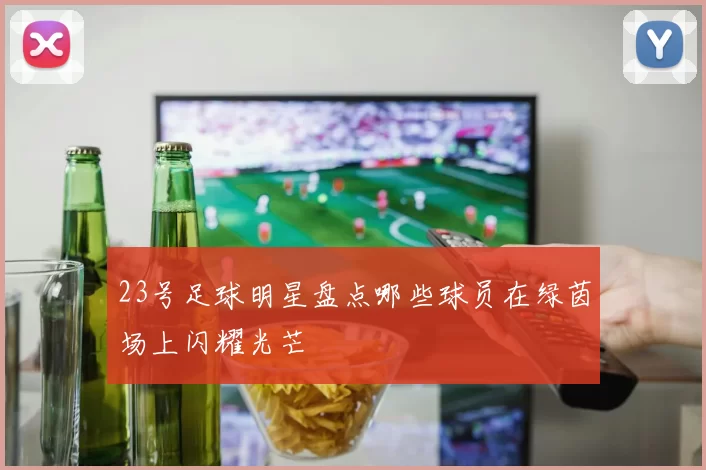 23号足球明星盘点哪些球员在绿茵场上闪耀光芒