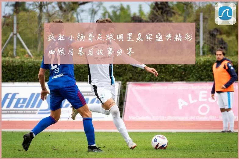 疯狂小杨哥足球明星嘉宾盛典精彩回顾与幕后故事分享