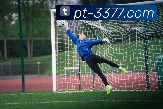 3377体育APP 体育赛事宣传图